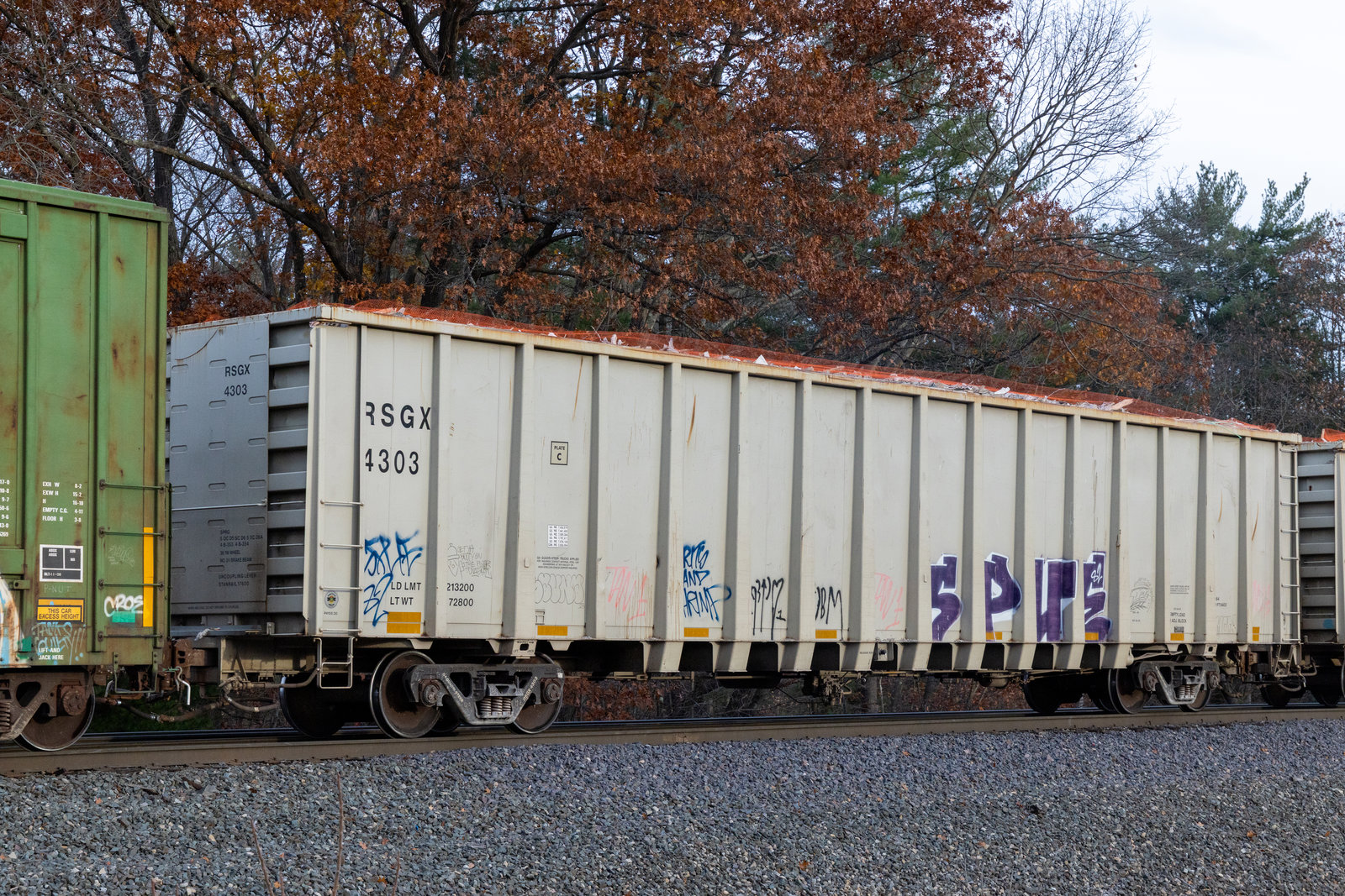 RSGX 4303