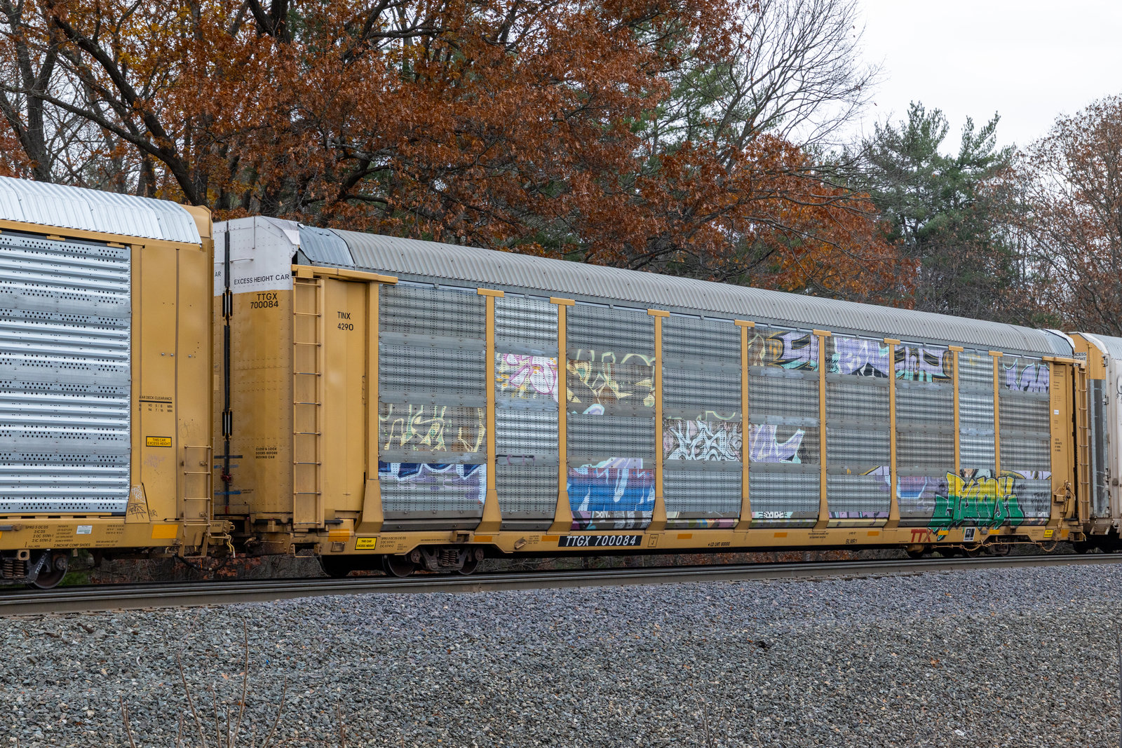 TTGX 700084
