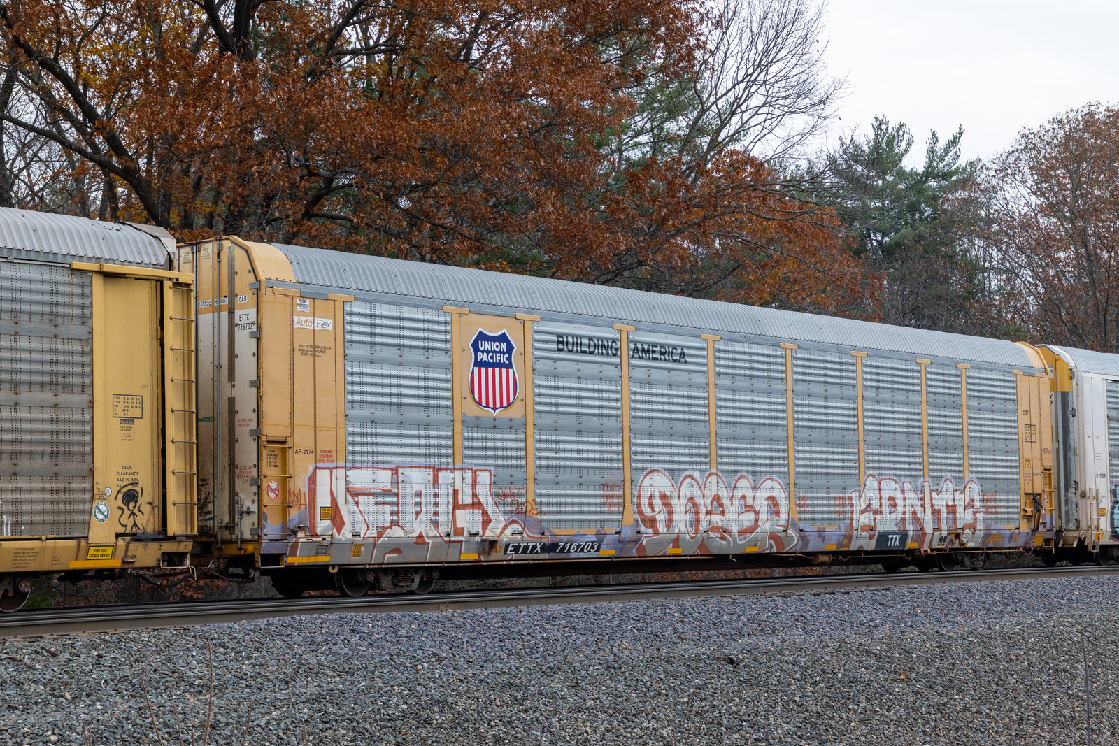 ETTX 716703