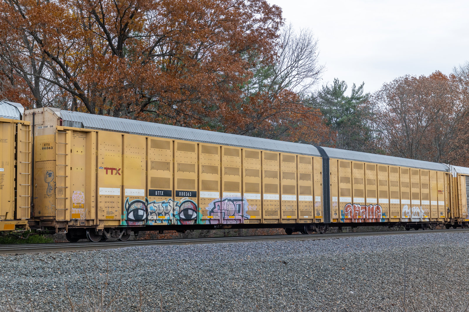 BTTX 880363