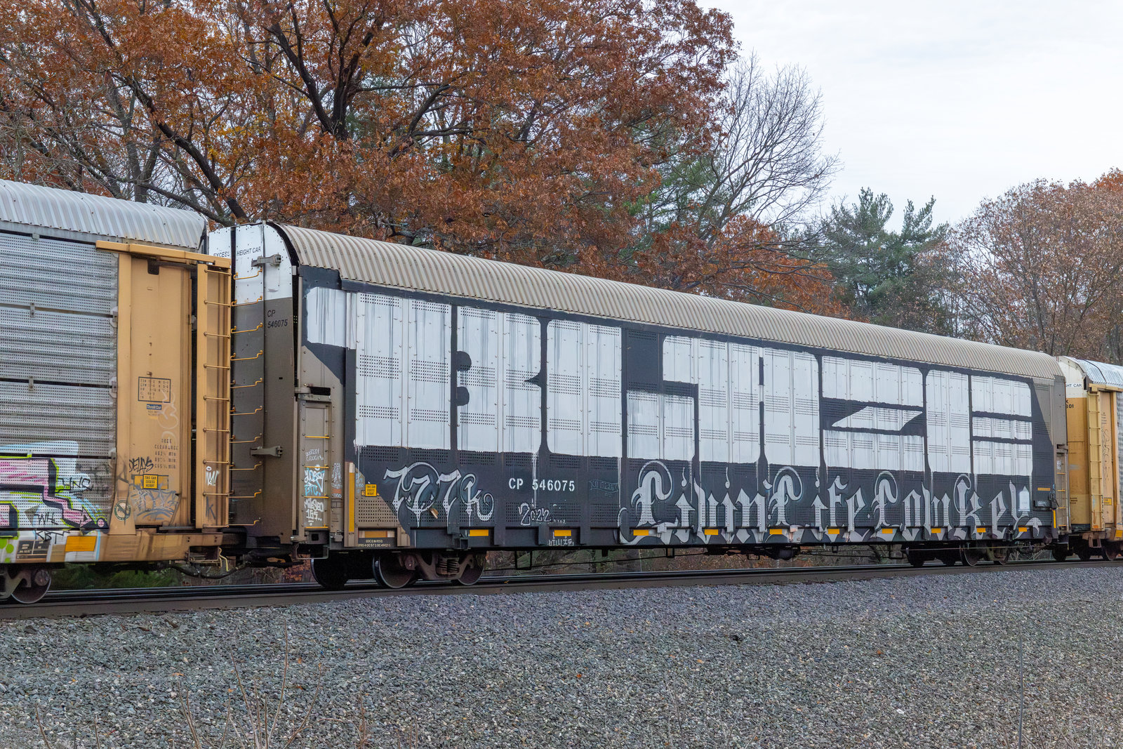 CP 546075