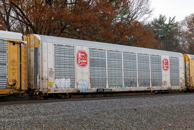 CTTX 695954
