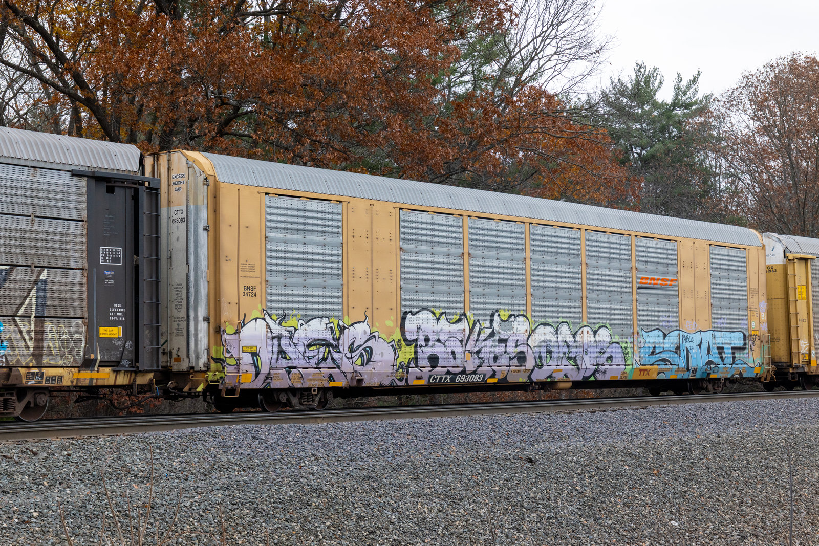 CTTX 693083