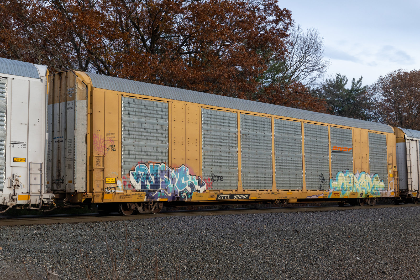 CTTX 691362