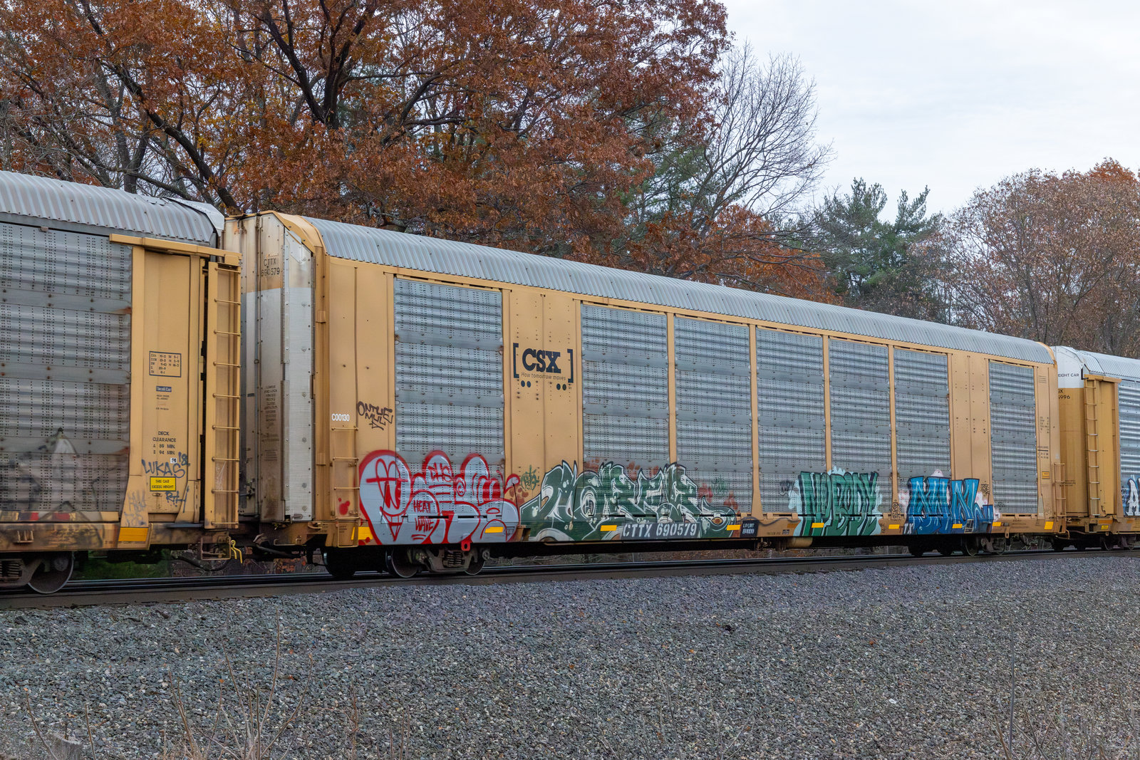 CTTX 690579