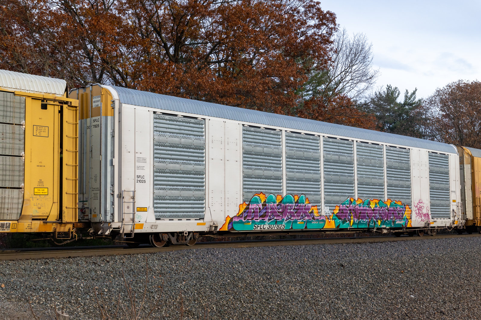 SFLC 307825