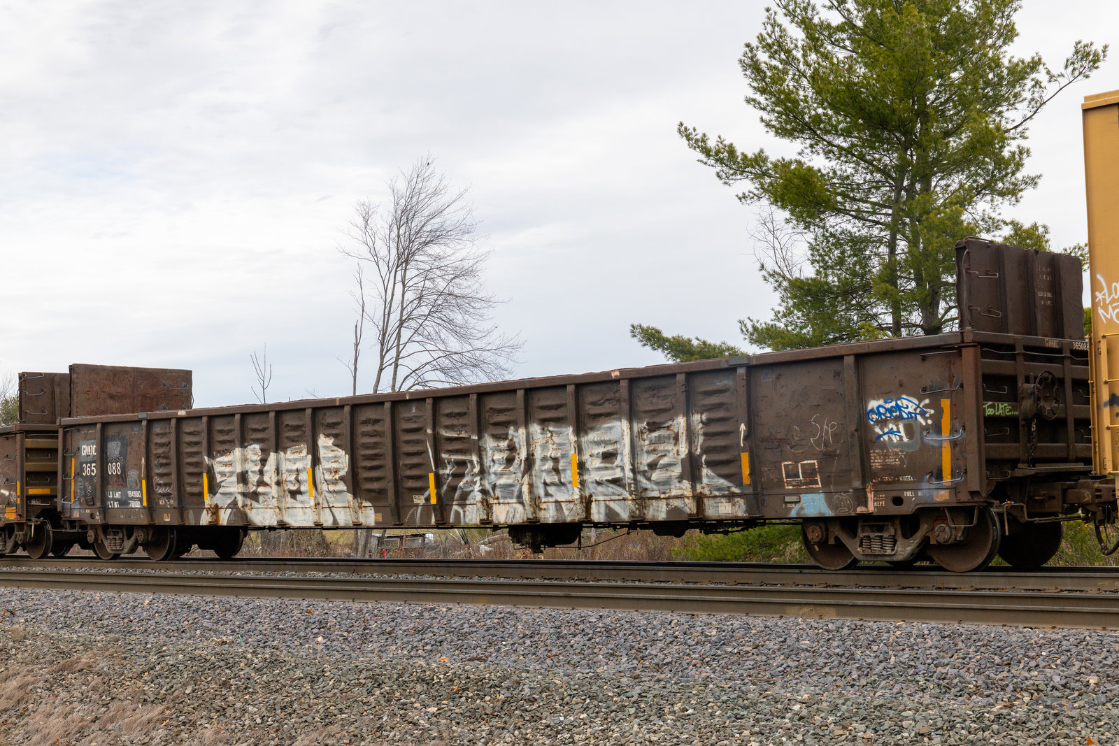 GNBC 365088