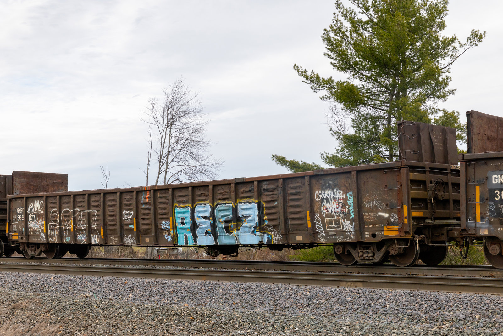 GNBC 365077