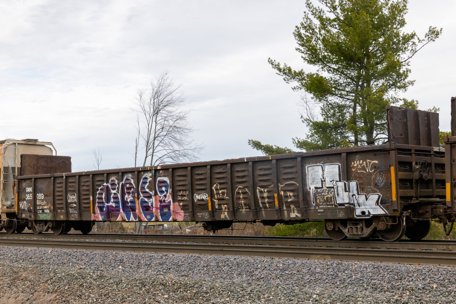 GNBC 365089