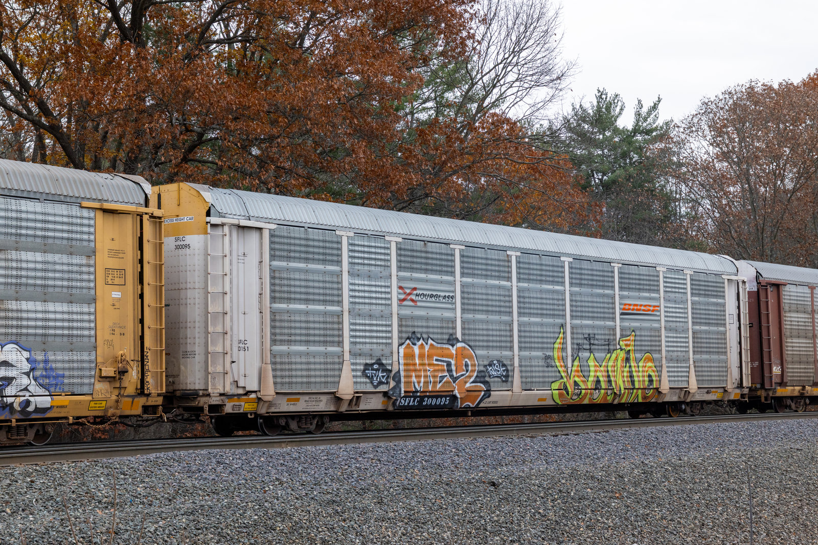 SFLC 300095