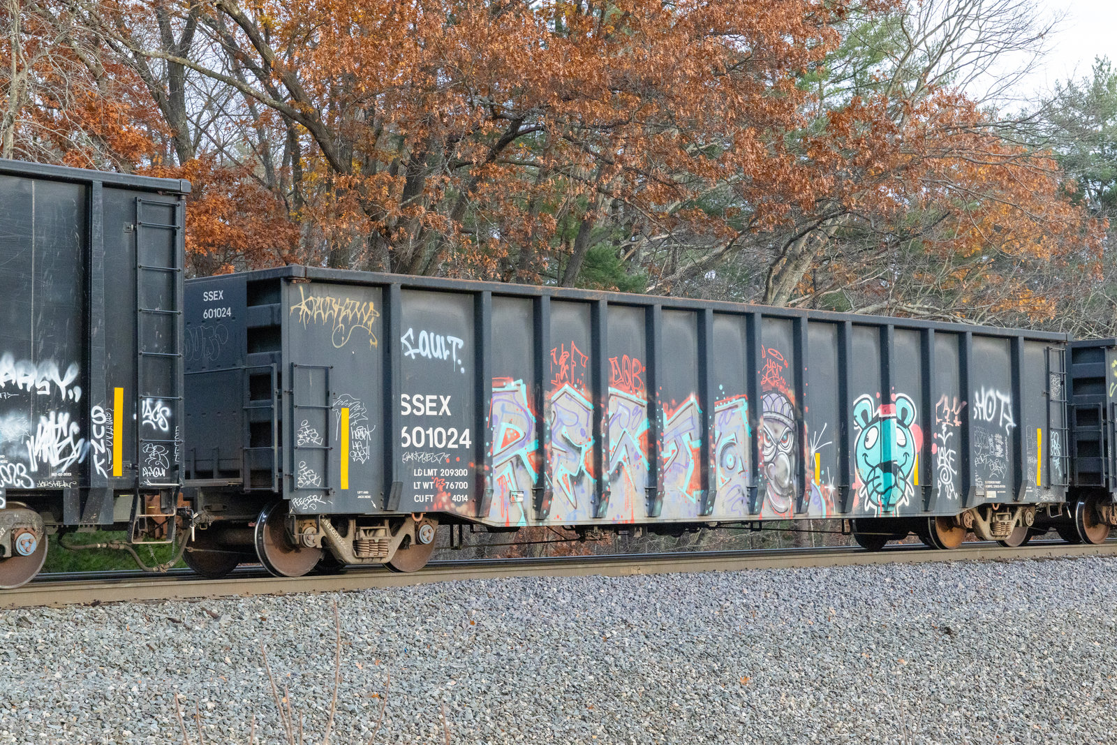 SSEX 601024