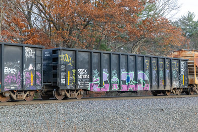 SSEX 601014