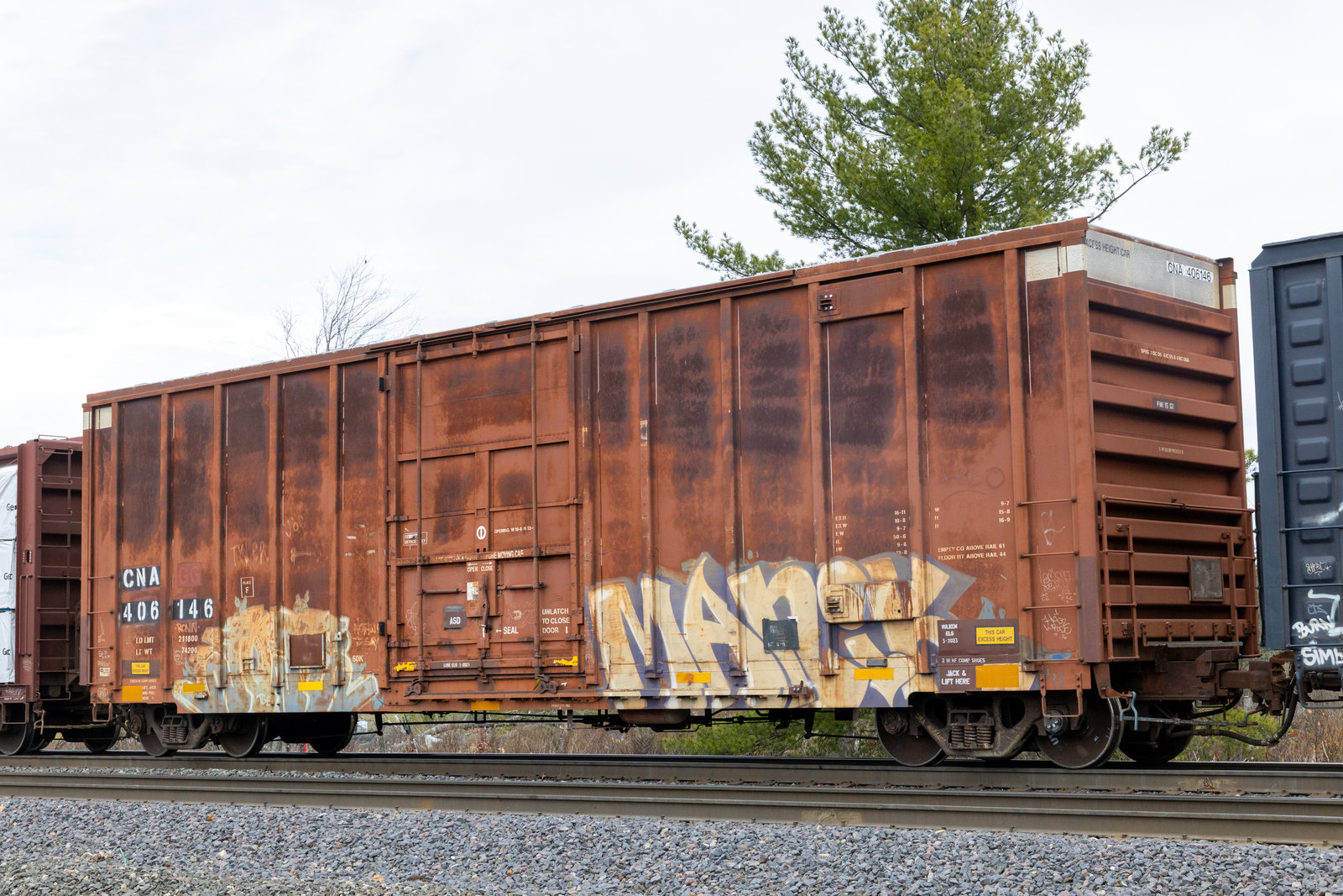 CNA 406146