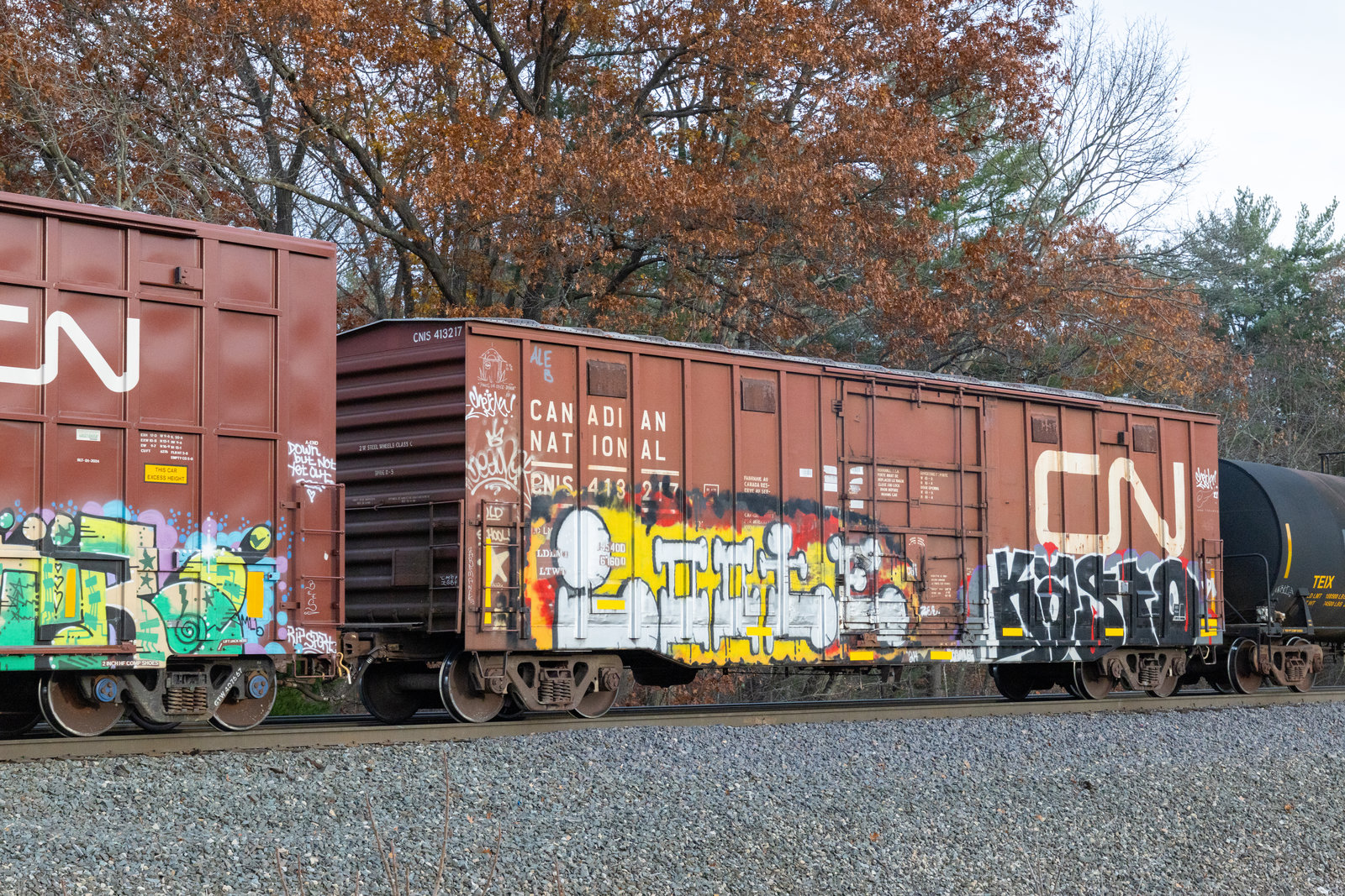CNIS 413217