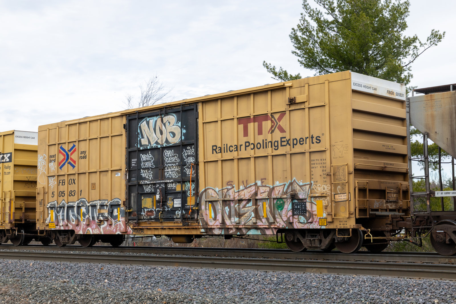 FBOX 505831