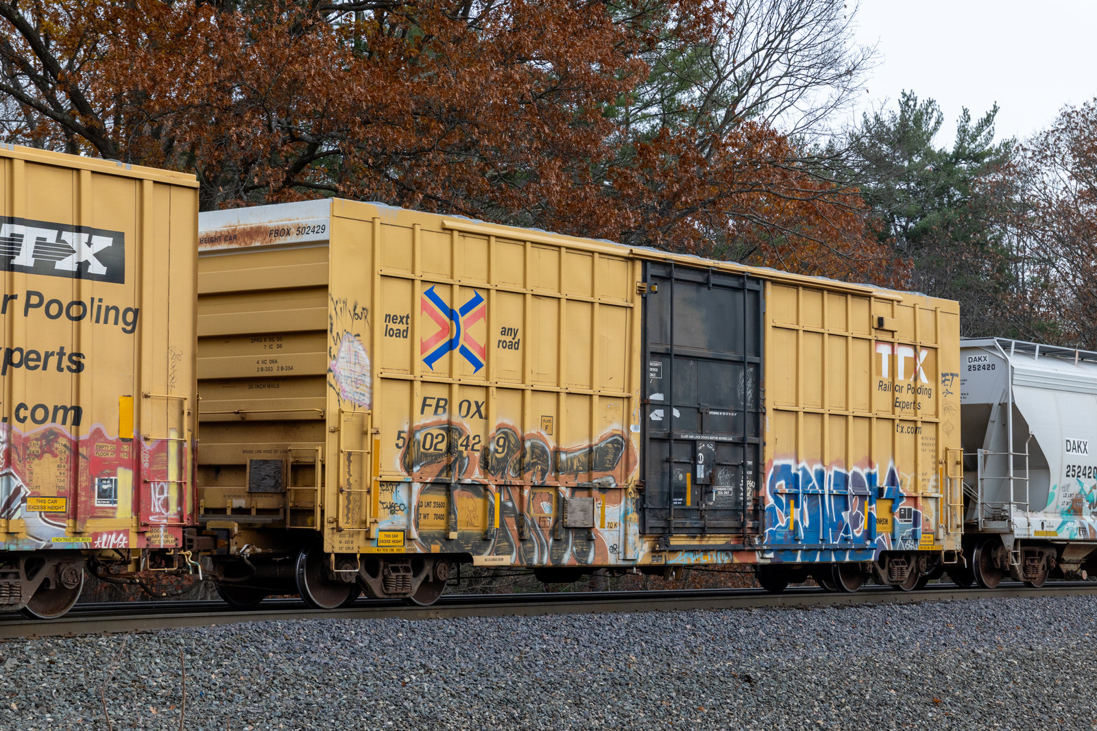 FBOX 502429