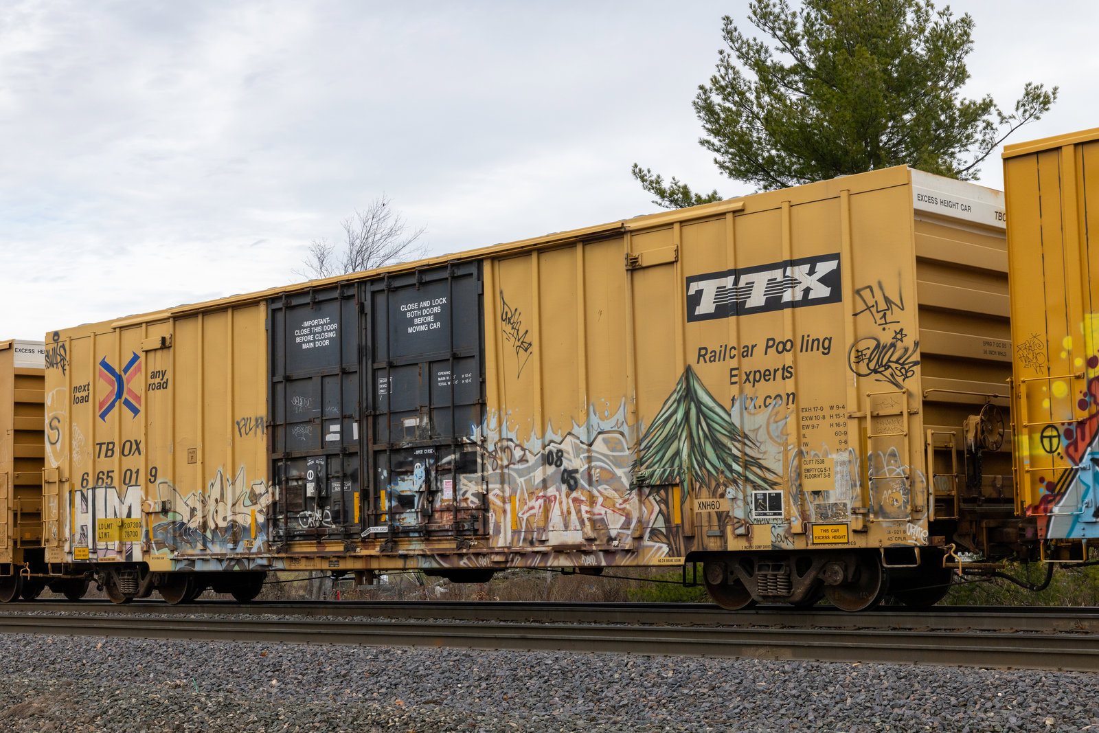 TBOX 665019
