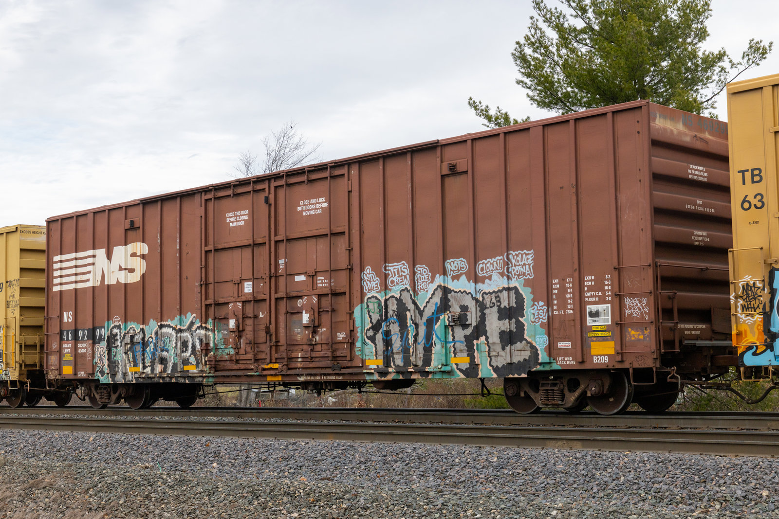 NS 469299