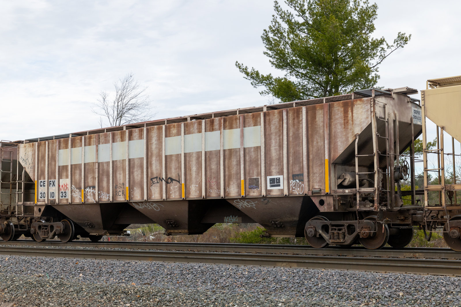 CEFX 301033