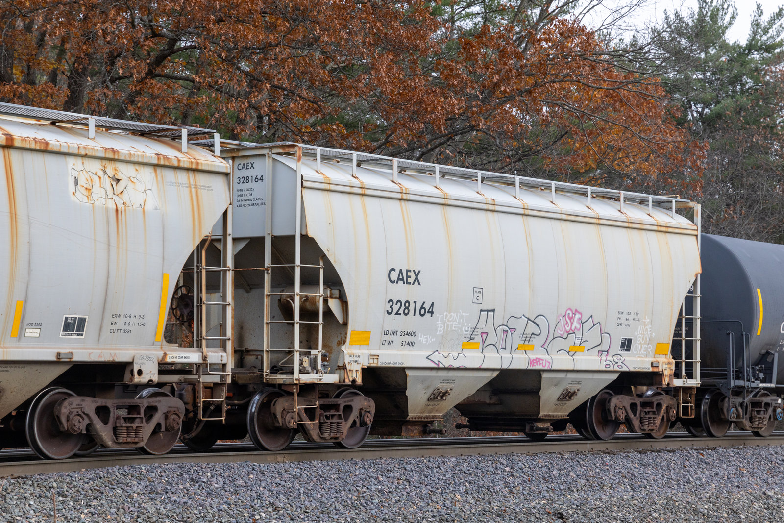 CAEX 328164