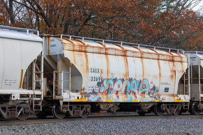 CAEX 32699