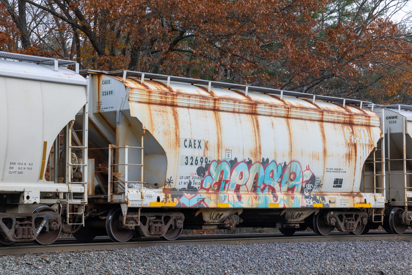 CAEX 32699