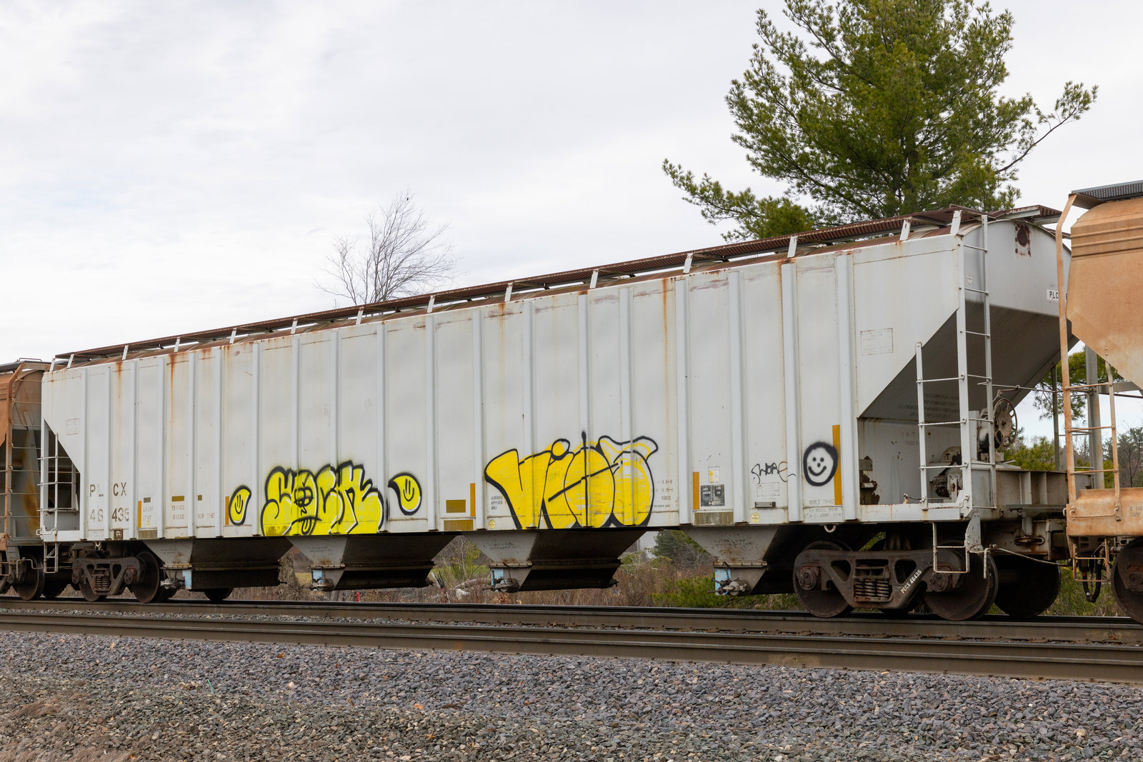 PLCX 46435