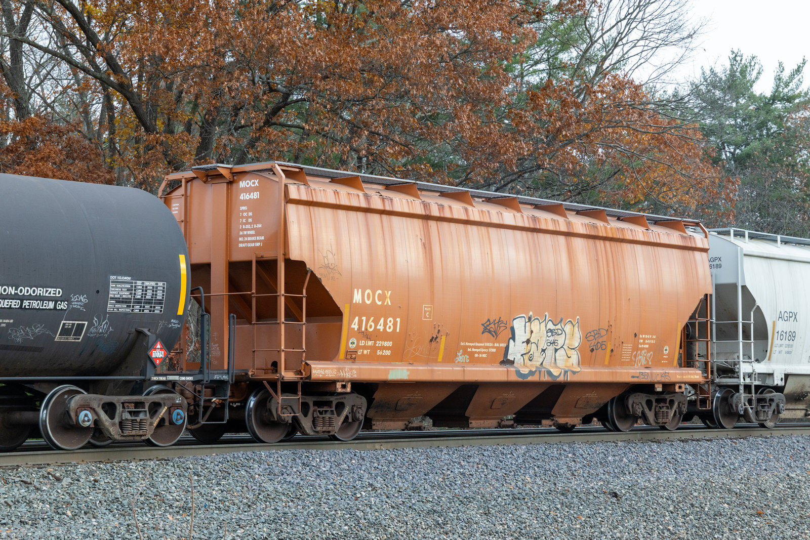 MOCX 416481