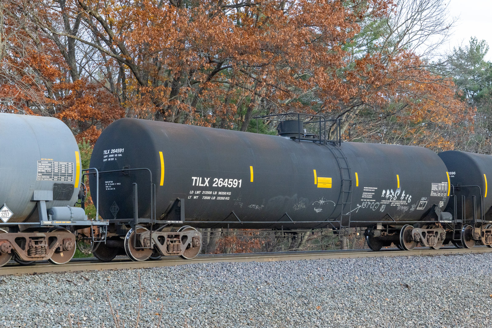 TILX 264591
