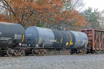 PVSX 205825
