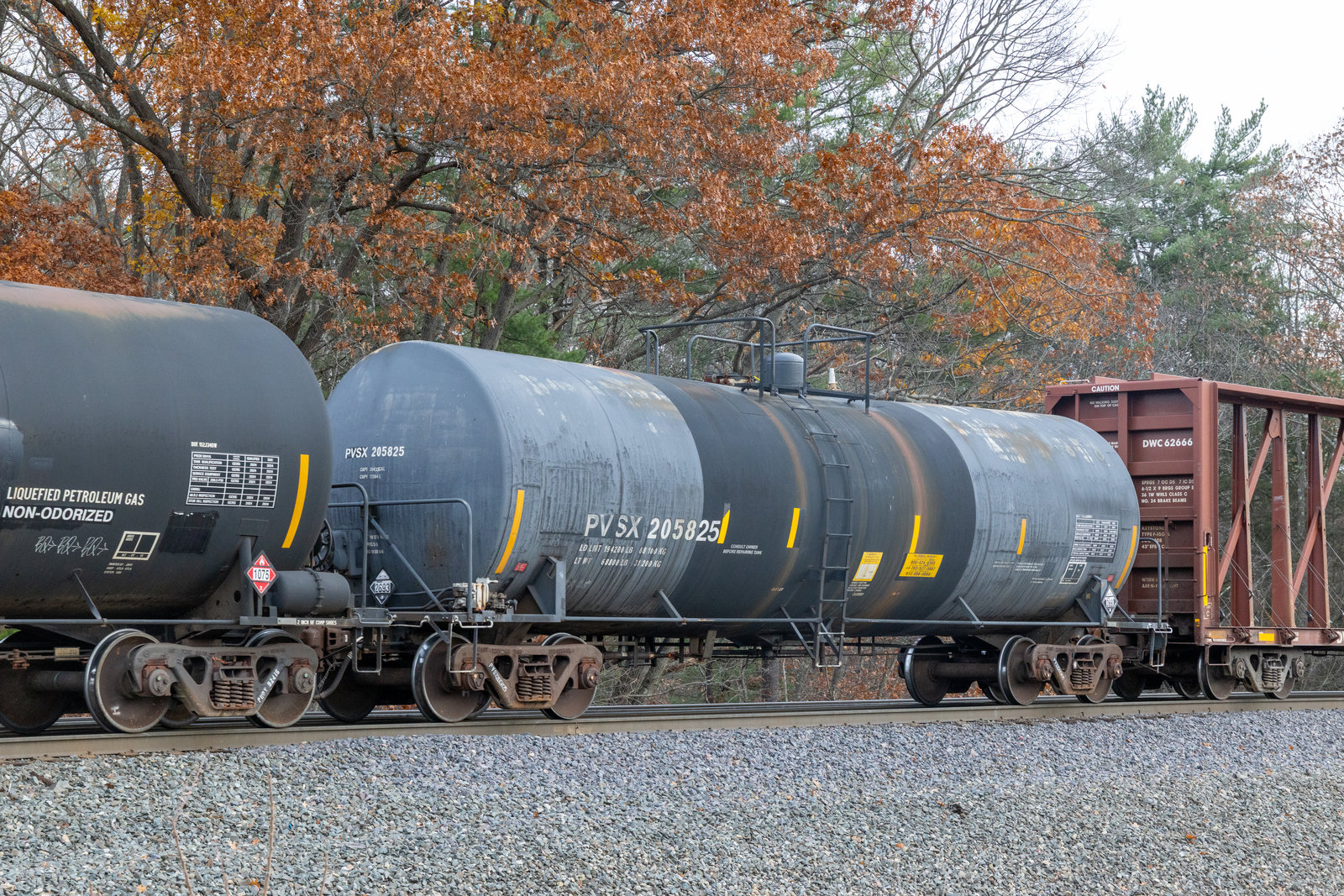 PVSX 205825