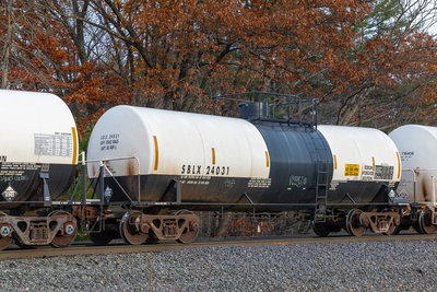 SBLX 24031