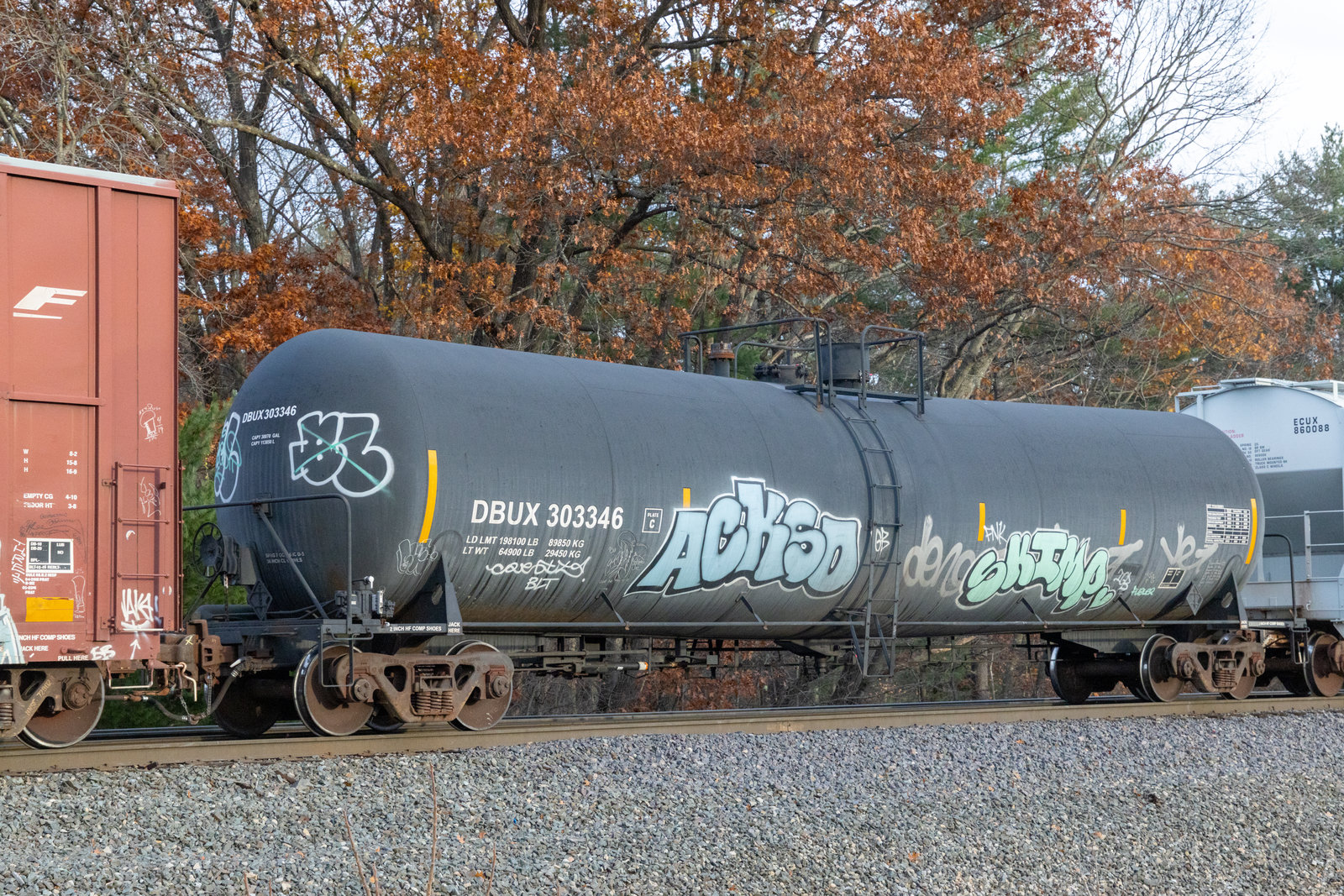 DBUX 303346
