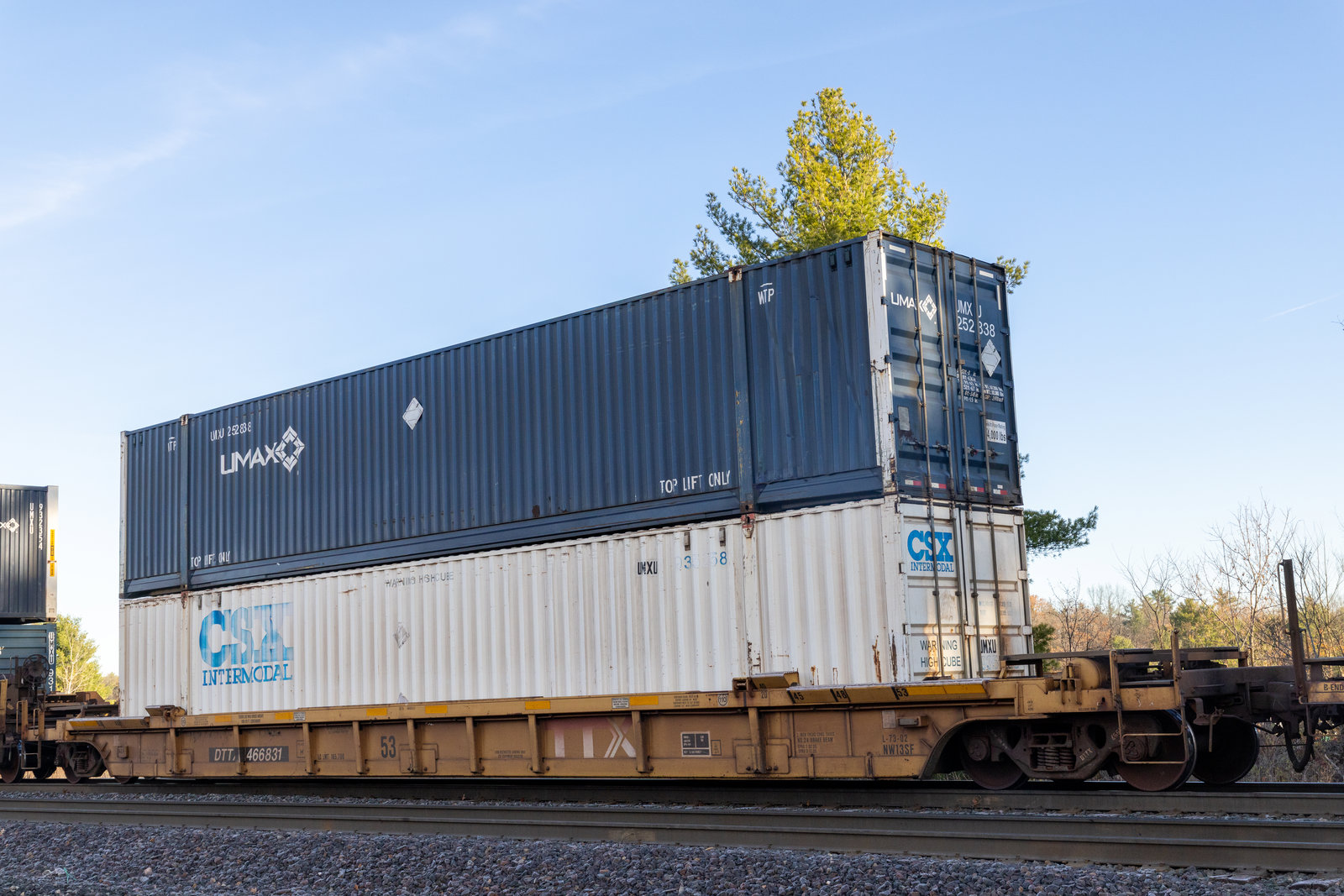 DTTX 466831