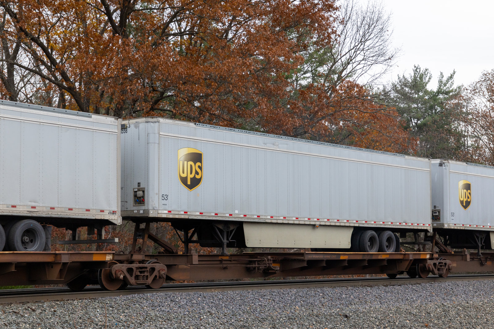 TTAX 555188D