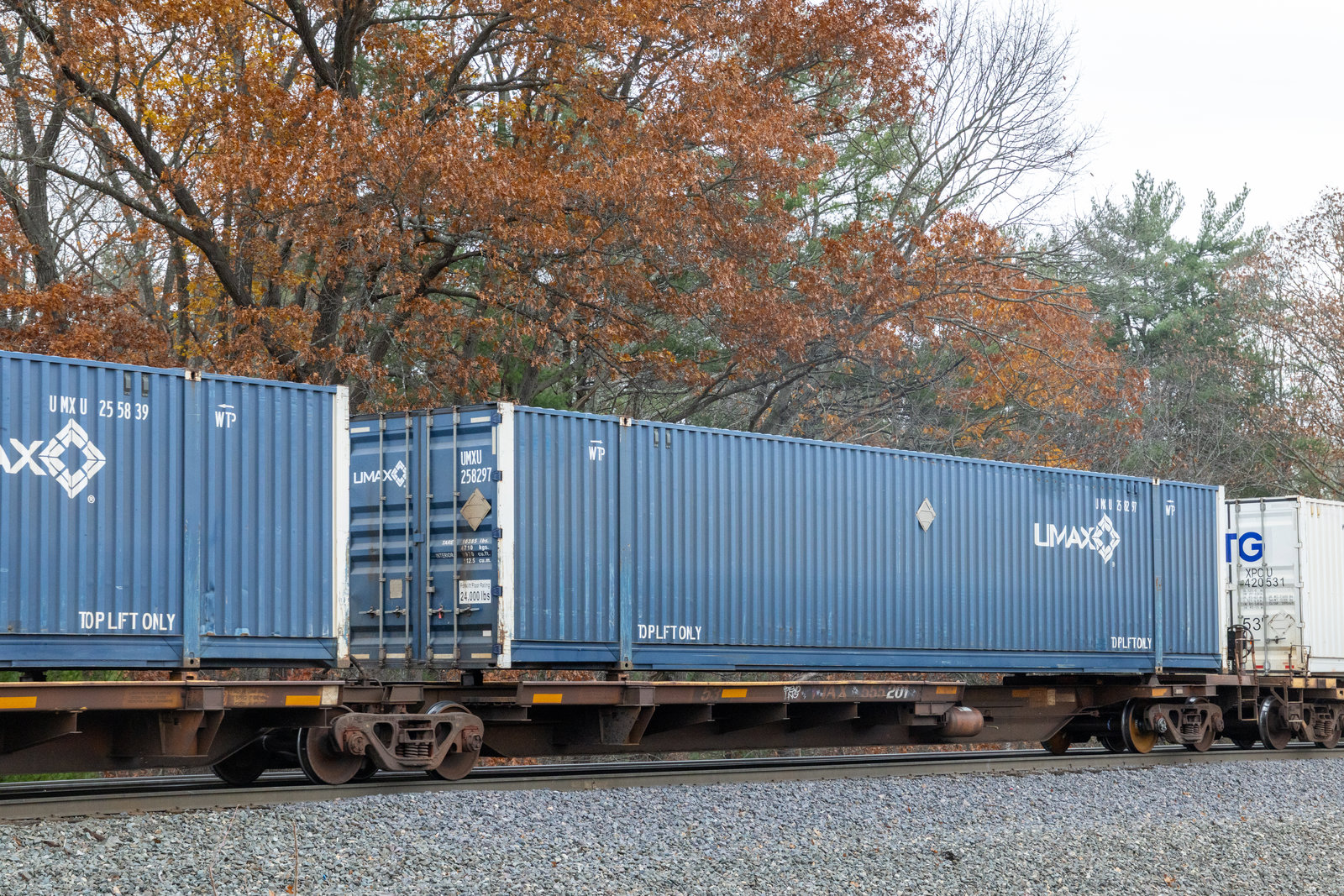 TTAX 555201A