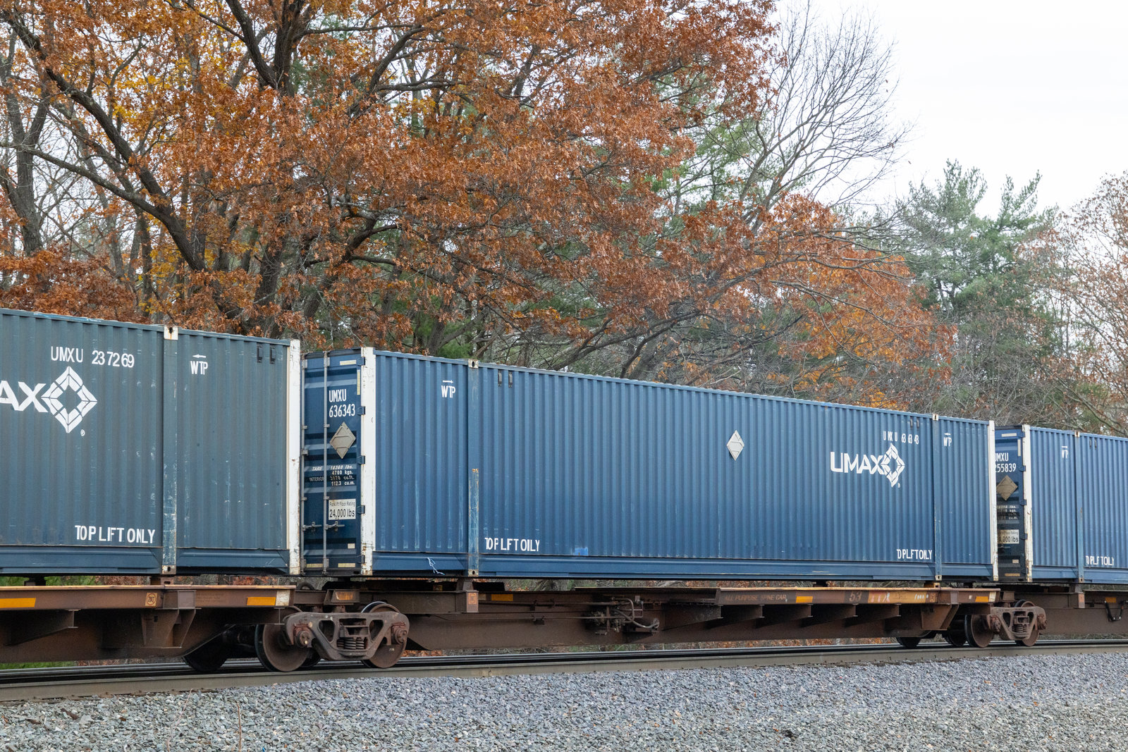 TTAX 555201D