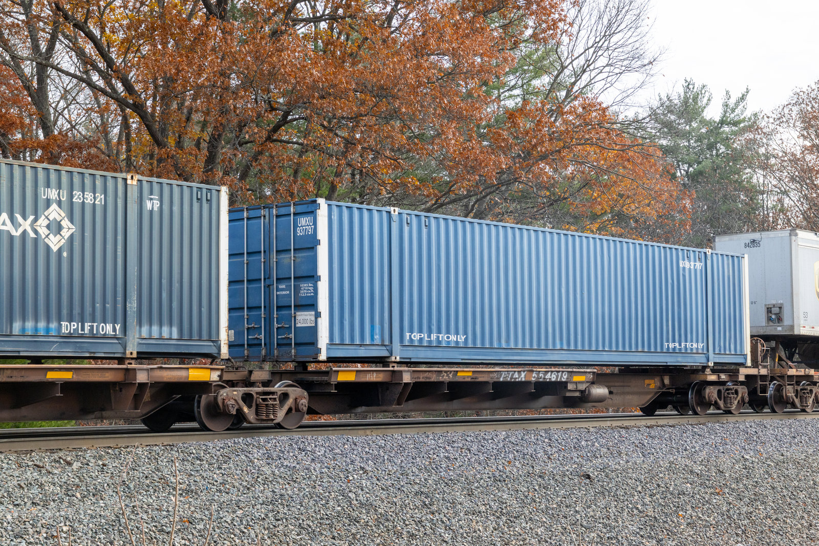 TTAX 554619A