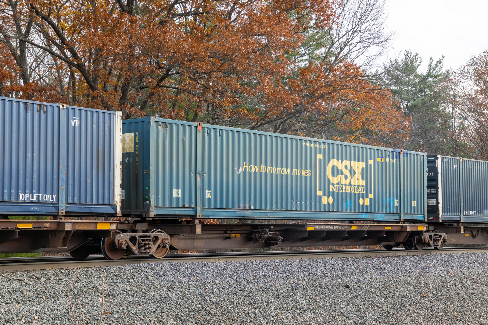 TTAX 554619D