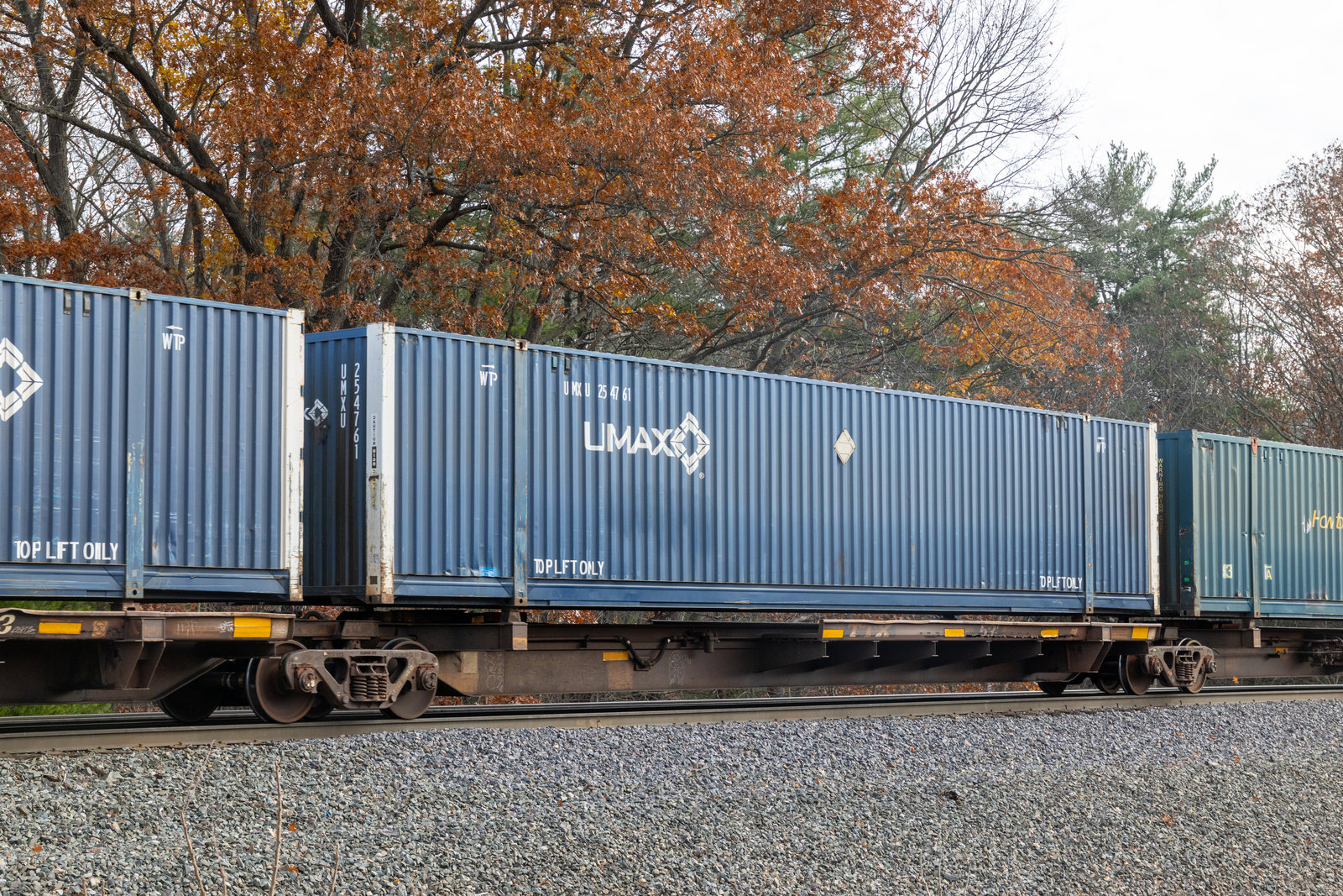 TTAX 554619C