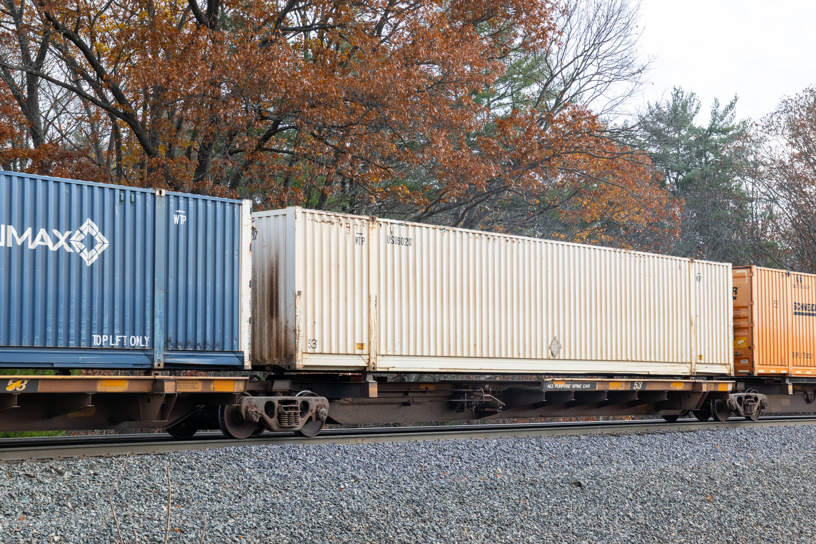 TTAX 555136D