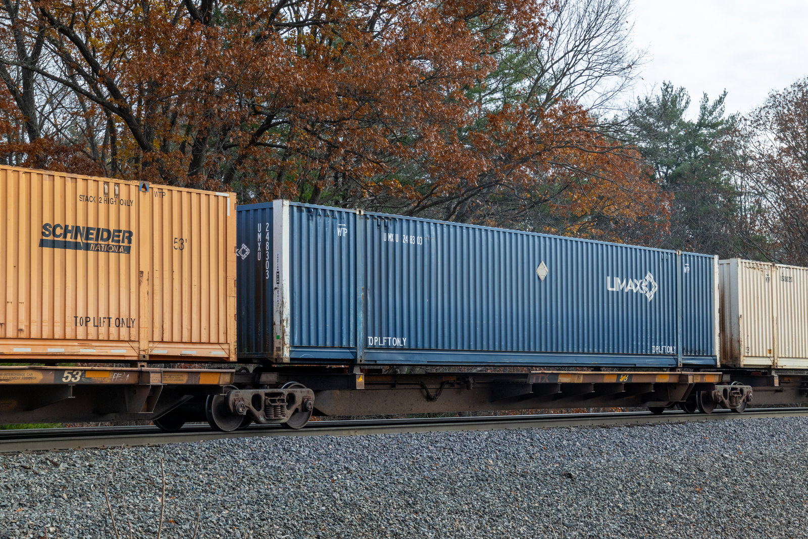 TTAX 555136C