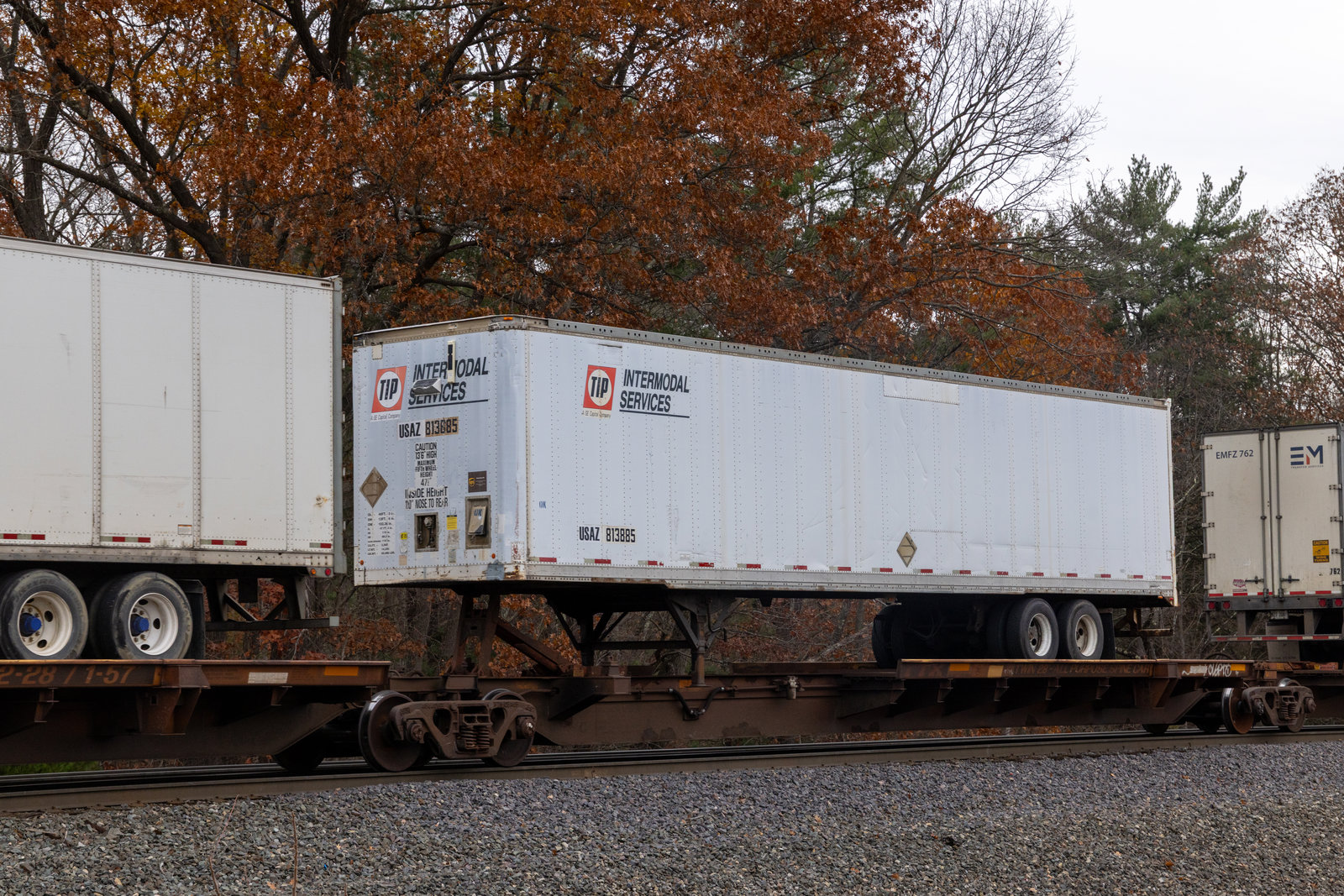 TTRX 360142C