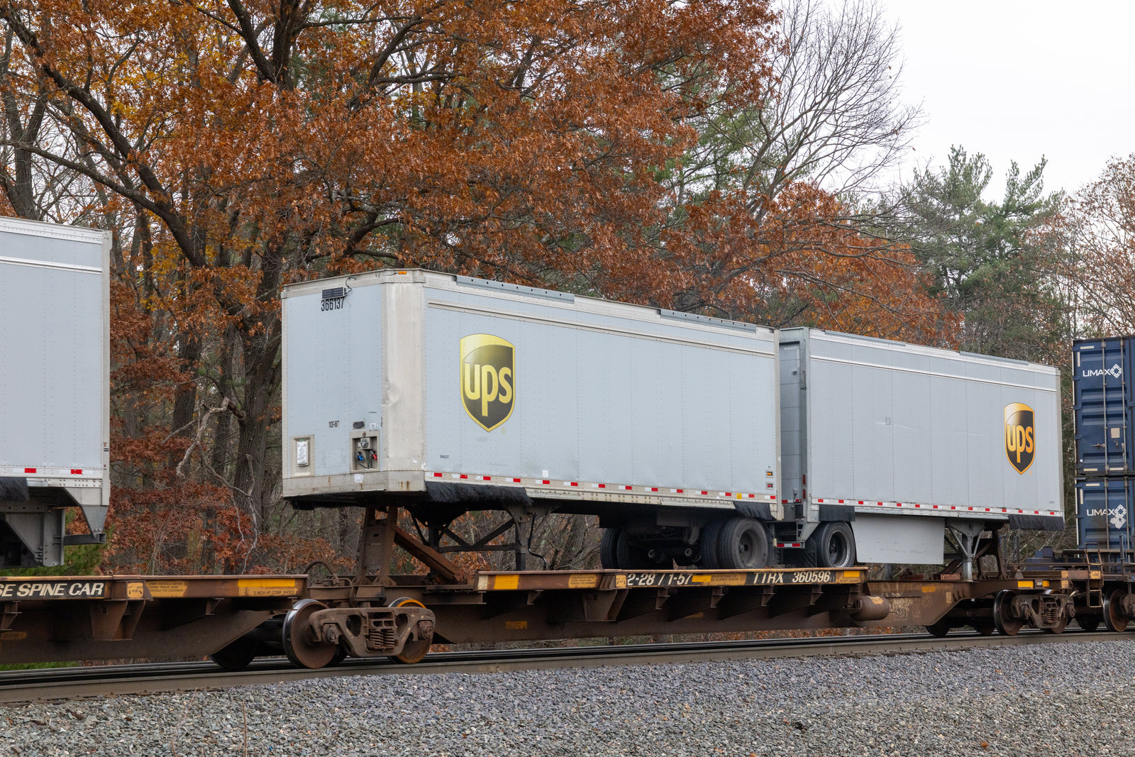 TTRX 360596A