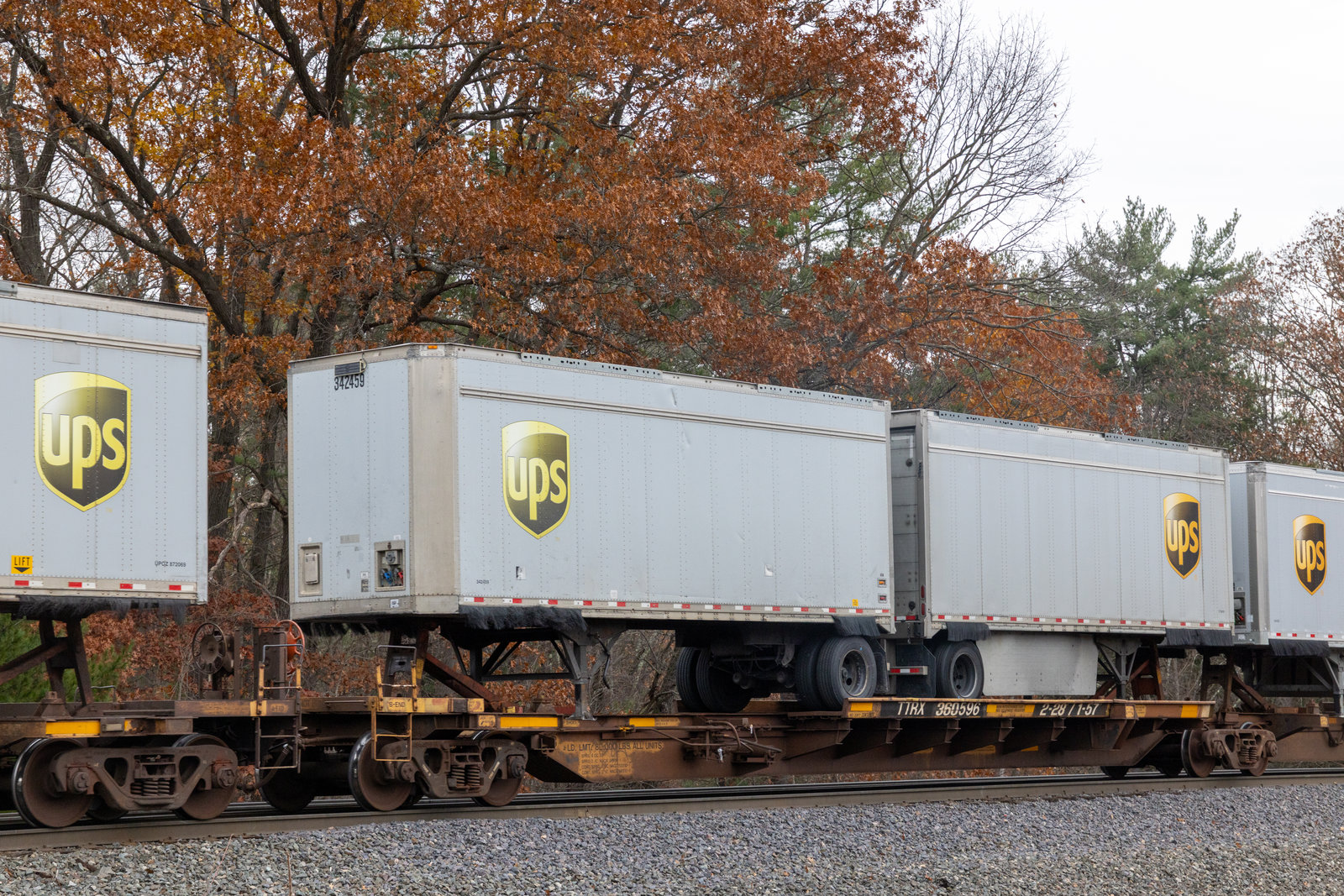 TTRX 360596B