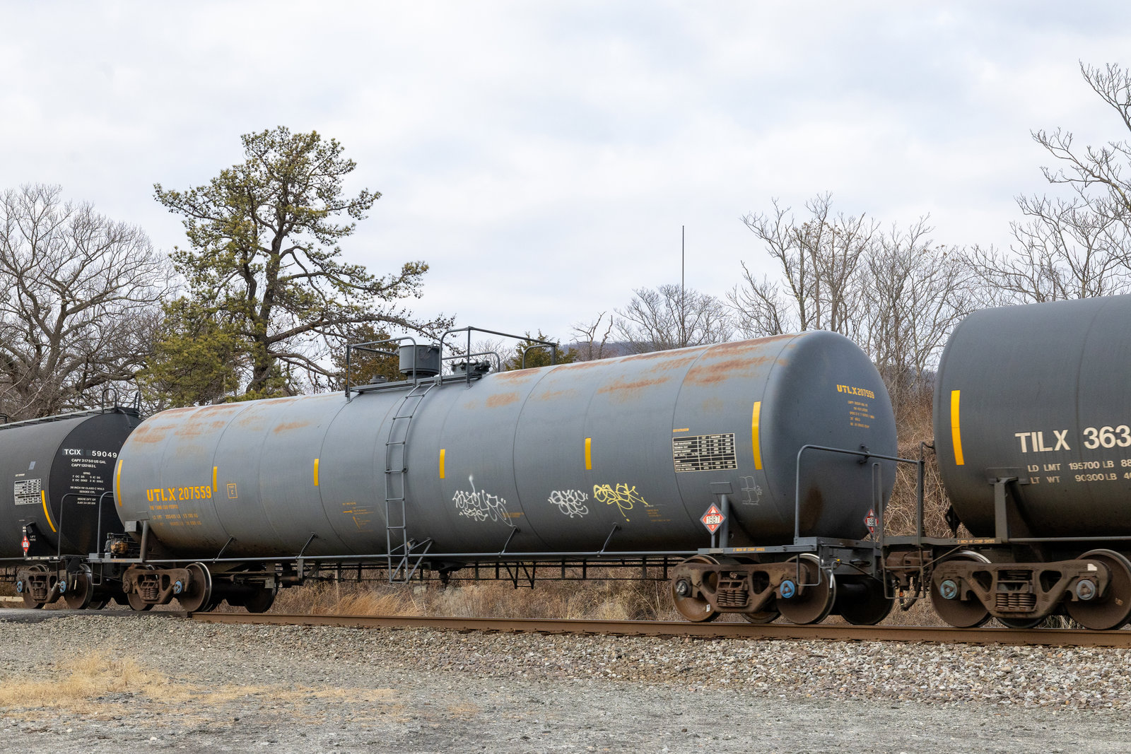 UTLX 207559