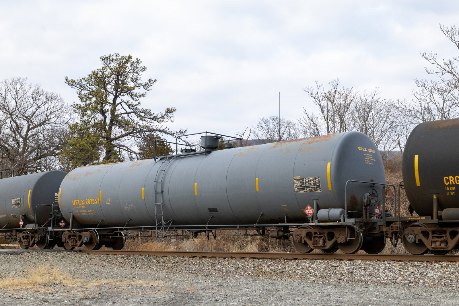 UTLX 207557
