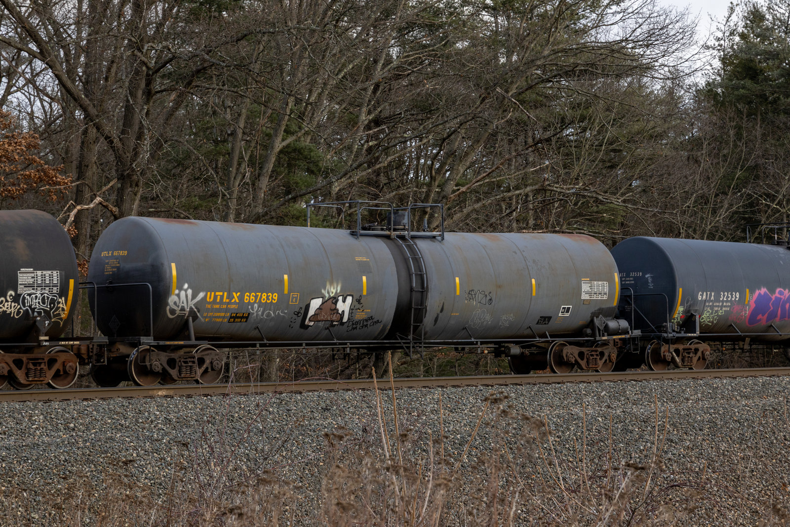 UTLX 667839