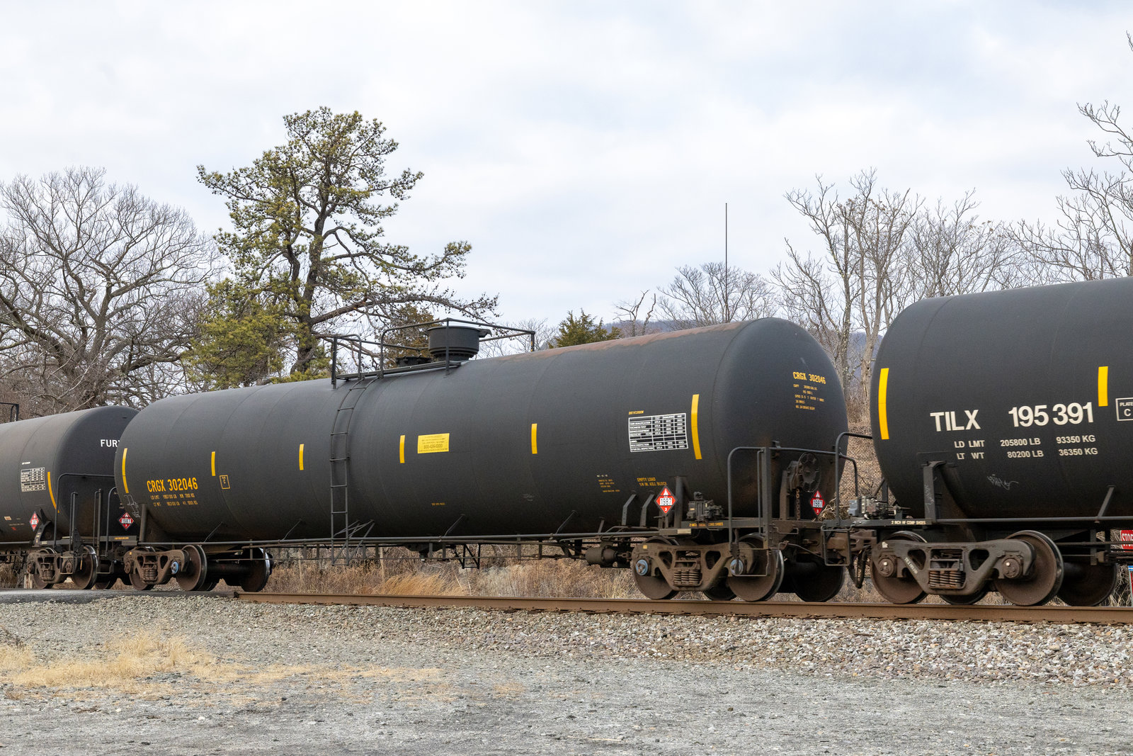 CRGX 302046