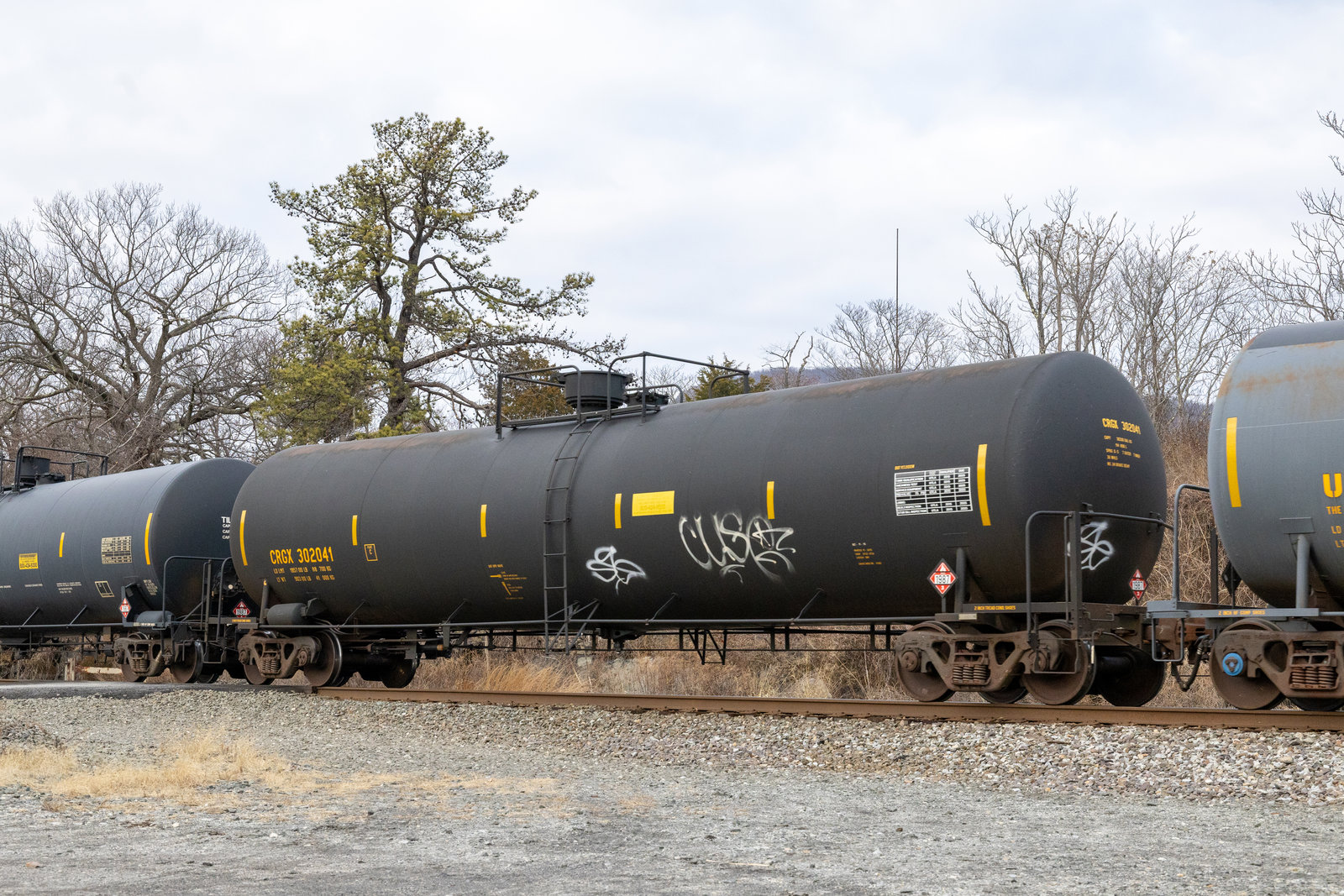 CRGX 302041